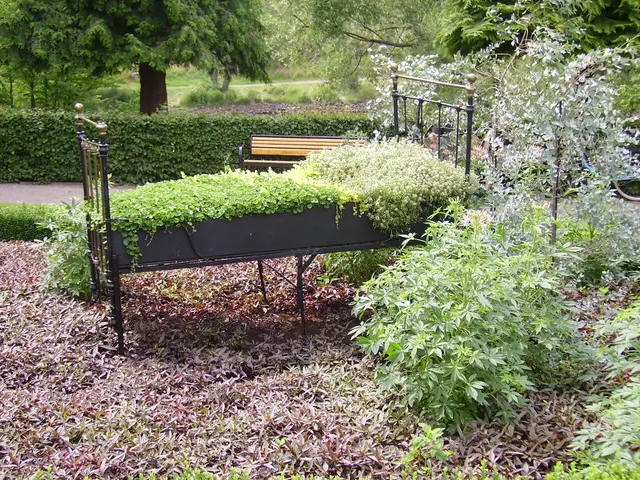 Five vegetation options for vertical gardening on walls and structures