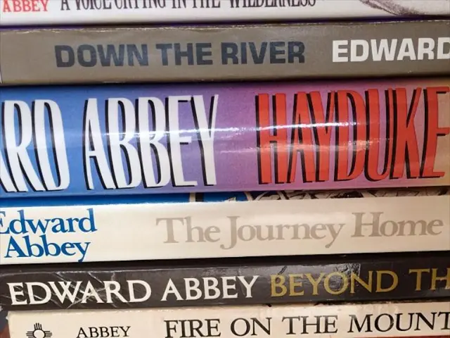 Fluency in Expression