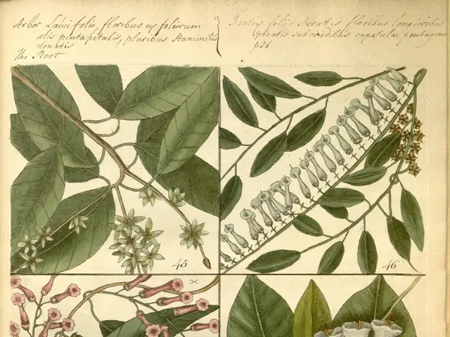 Essential Insights on Cultivating Plant Growth with Vermicompost Utilization