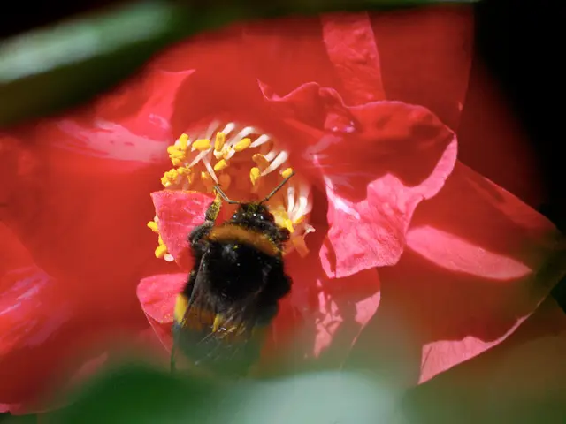 Treating and Preventing Orchid Root Rot: A Guide to Maintaining Healthy Orchid Roots and Avoiding...