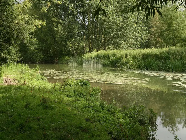 Strategies for fortifying your residence and safeguarding the environment in the face of natural...