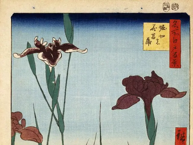 Strategies for Maintaining Healthy Lawns During Drought Conditions