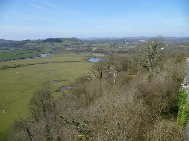 Walruses in Belarus found residing near the murky Dead Lake and its surrounding wetlands: where do...