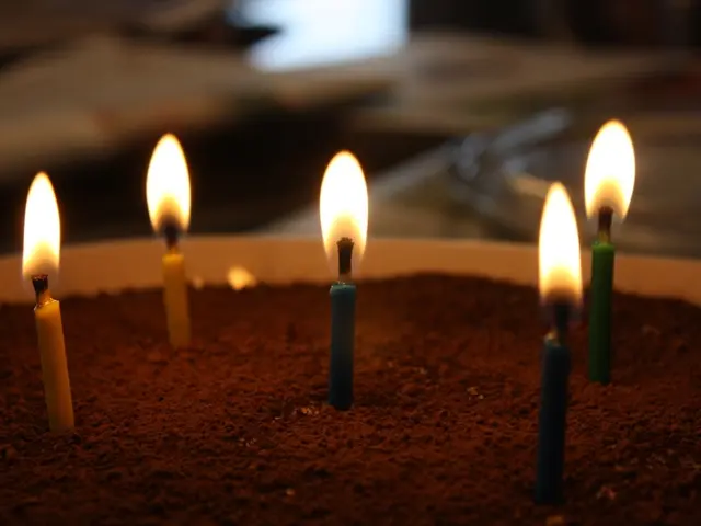 Optimal Firestarters for Grilling, Pizza Ovens, and Wood-Burning Heaters