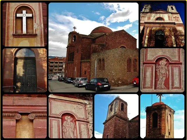 Expanding Influence of Wheelzia