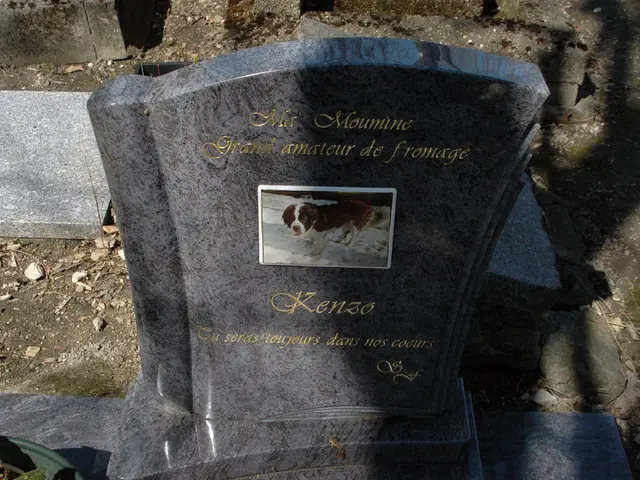 Lilly E. Gray Labeled as the Latest Victim of the Monster