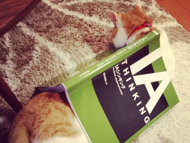 Fast and affordable solution for cat furniture scratching available during Prime Day sale, as...