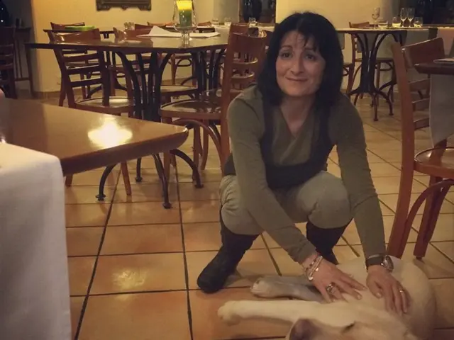 Dogs with reactive tendencies may benefit from an unexpected strategy to ease their anxiety,...