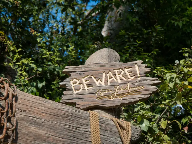 Uncover the Wonders of Accoya: A Detailed Examination