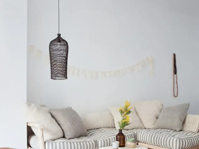 Guidebooks on Extraordinary Plants and Terrariums (Instructing and Inspiring)