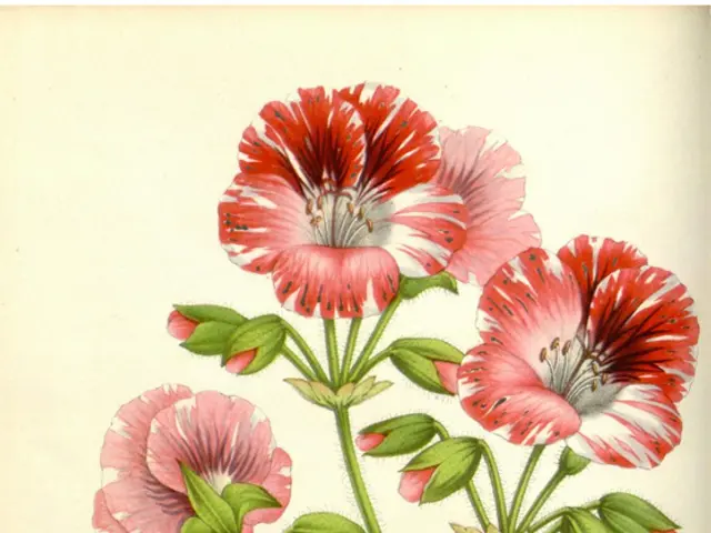 Top 7 Imaginative Coffee Filter DIY Projects