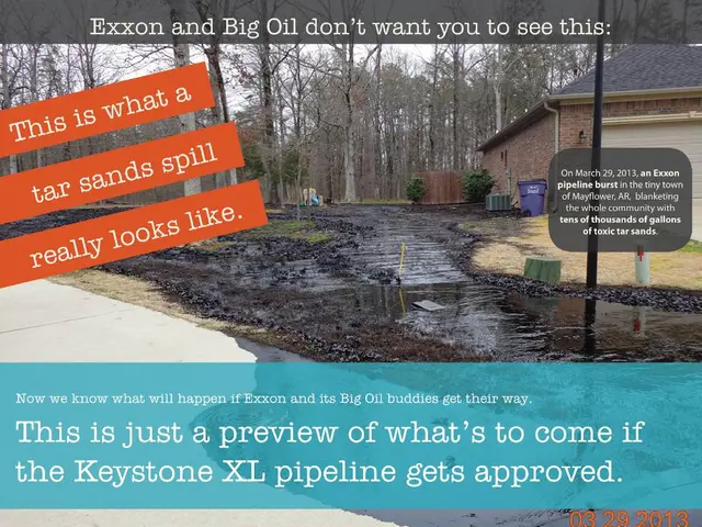 Duplicate Confidential: Could Fergie Achieve Success with the "Green Diaper"?