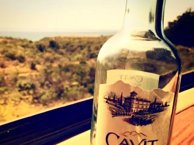 Choosing a Location for Ginseng Cultivation in Ohio