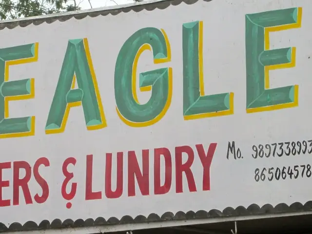 Extension extraction process: Comprehending the aspects, ideal timings, and parties involved