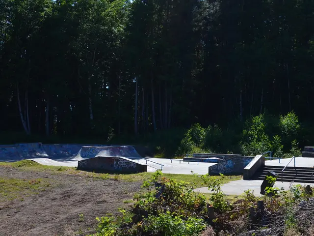 Fertile Friendly Vegetation for Prosperous Apricot Saplings