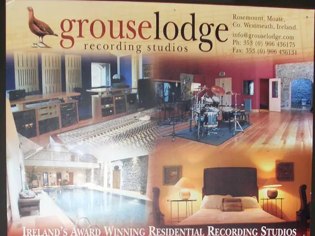 Twenty-two birdhouses are now installed in the 'Dwellings' exhibit at the South London Gallery.