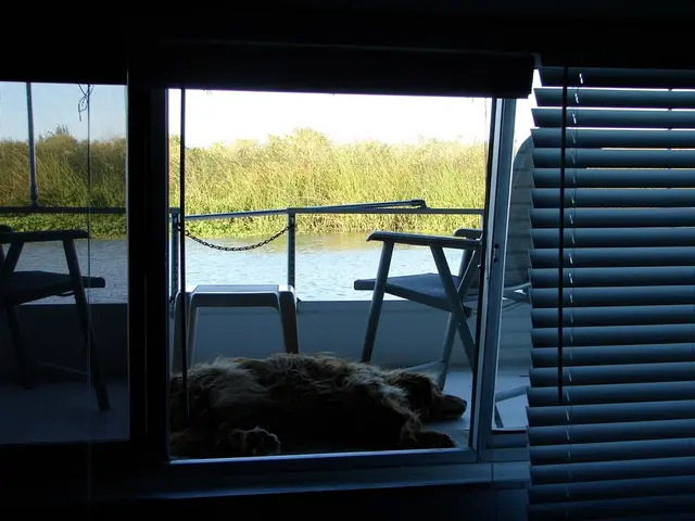 Utilization Instructions for the Square and Park: Guidelines Provided by PitteDanke