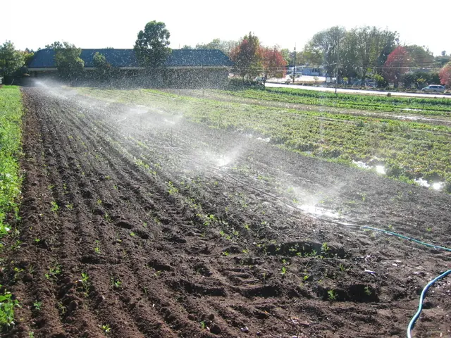 Preventing irrigation system breakdowns: strategies for success