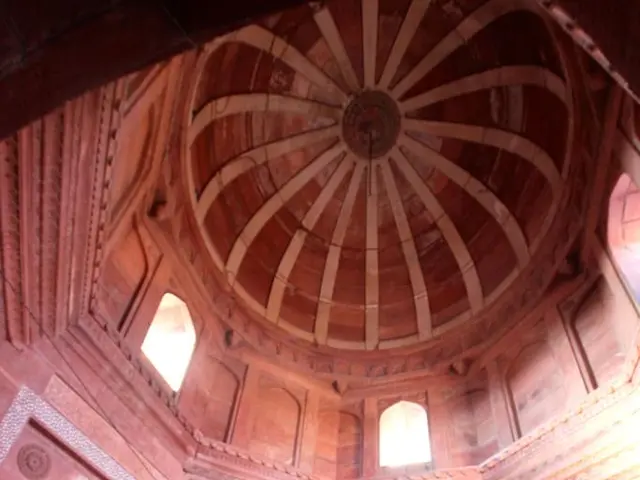 Redesigning Sanctuaries: Your Interior Design and Fit-Out Business in Dubai