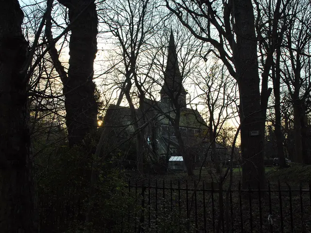 Simplifying Strategies for Decluttering and Reducing Possessions, Quick Advice on Minimalist Living