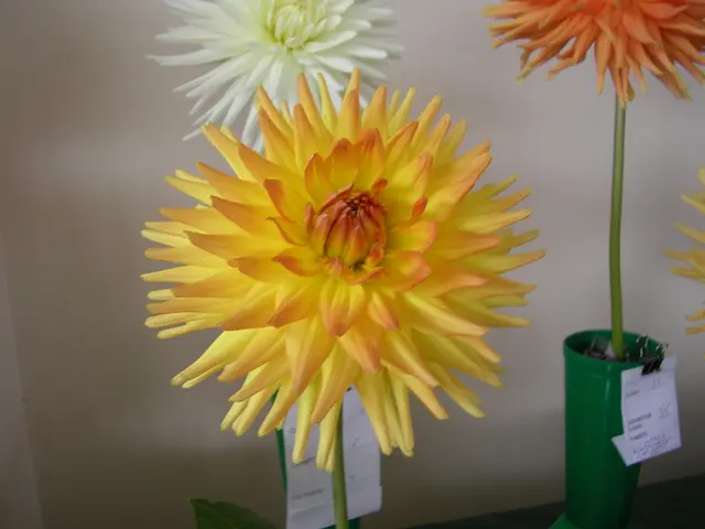 Create Flower Pot Décor with a Sharpie Marker in 3 Simple Stages!