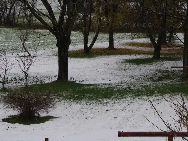 Steps to Embrace a Lower-Carbon Existence (Conclusion)