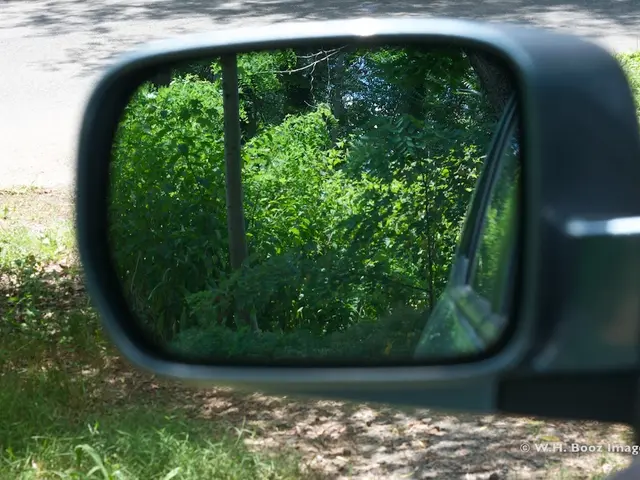 Number of towing mirrors required for operation