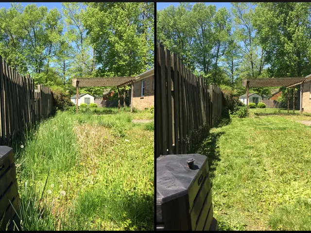 Sculptural minimalism showcased by a lakeside house in Michigan