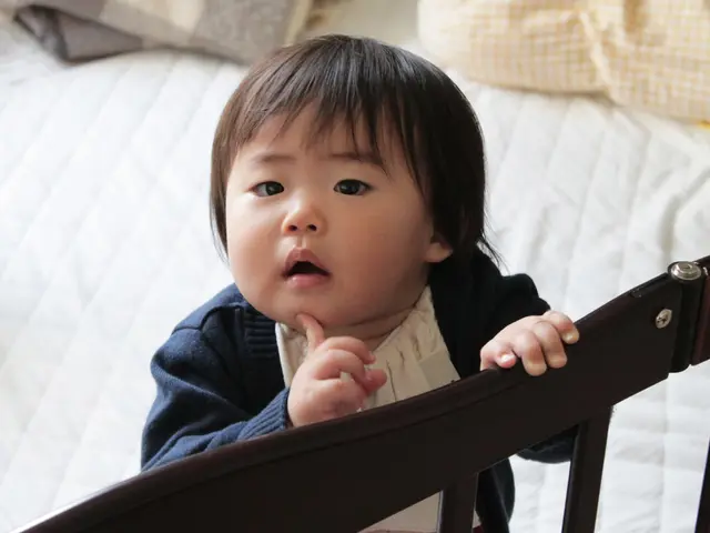 Bunk beds in a children's bedroom: A mother's perspective on the subject