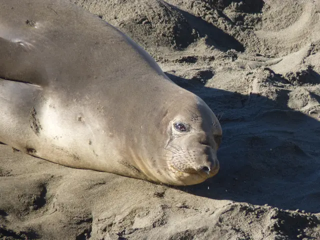 Common Errors to Avoid When Conducting Driveway Sealant Application