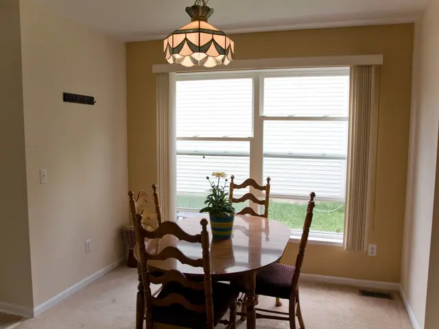 Living Space Enhancements: A Guide to the Most Stylish Indoor Plants