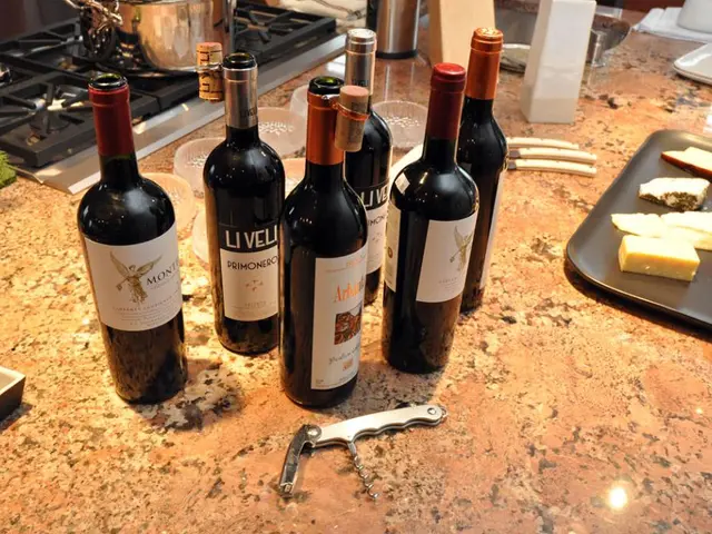 Kitchen Appliances: A Comparison Between Integrated and Freestanding Models for Optimal Space...