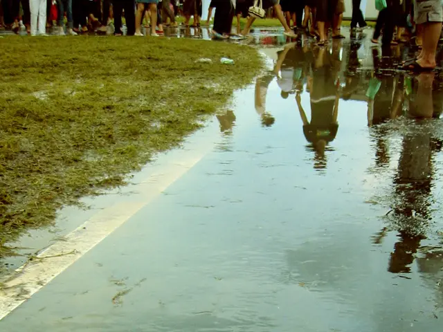 Seven Inexpensive Strategies for Stunning Lawns While Saving Lots of Money on Greenery