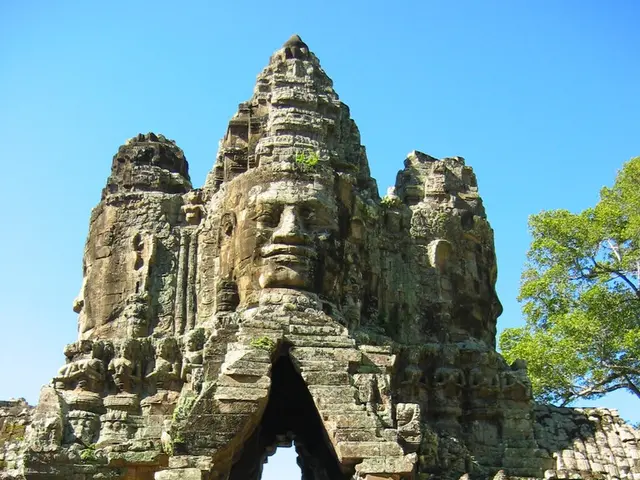 Animal Cleansing in Progress: Rüsseltier Undergoing Cleanup