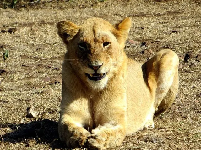 Thuringia issues severe caution: imminent peril looms!