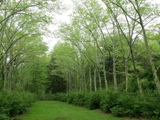 Yoghurt magnate of Yeo Valley, previously a dancer, discusses forthcoming festival debut in...