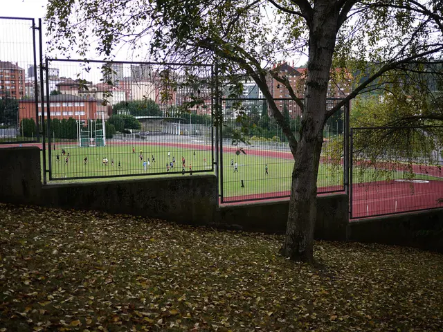 Municipal administration of Nettetal city