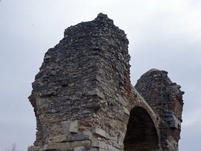 Foundation provides $250,000 grant to charitable organizations through Hard Rock Heals program