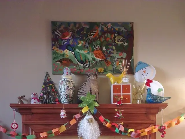 Preparing a cat enclosure: Essential items to be placed indoors