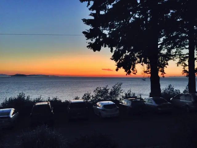 Instruction Manual for Cultivating a Vegetation oasis within a Glasshouse