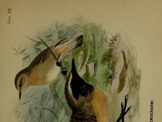 Death venue Paderborn 2025: Poetry Recitation Competition