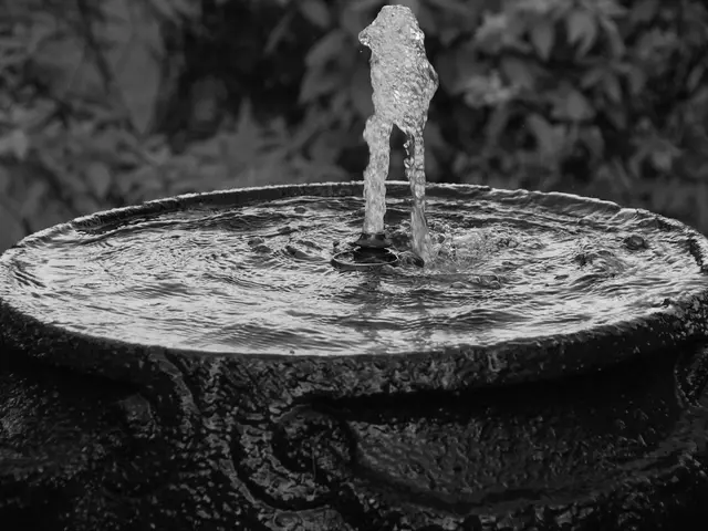 Koblenz Fountain Loses Its Vitality Explained
