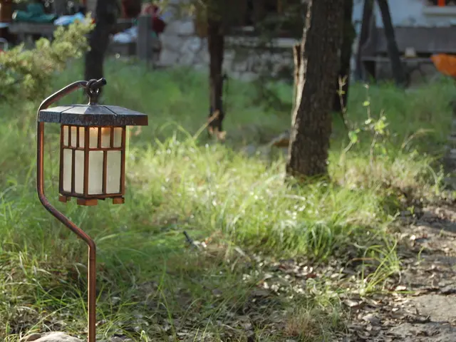 Attention should be given to certain factors when purchasing battery-powered garden tools