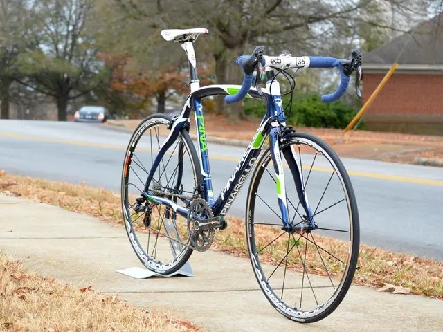 Prohibition of Parking Along the Western Part of Vineyard Road