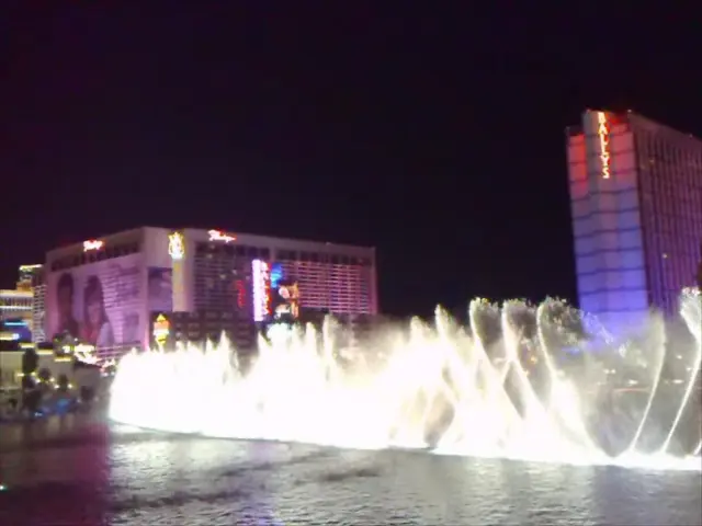 The Apparently Frivolous Indulgence for Pets Has Significant Health Benefits Unveiled