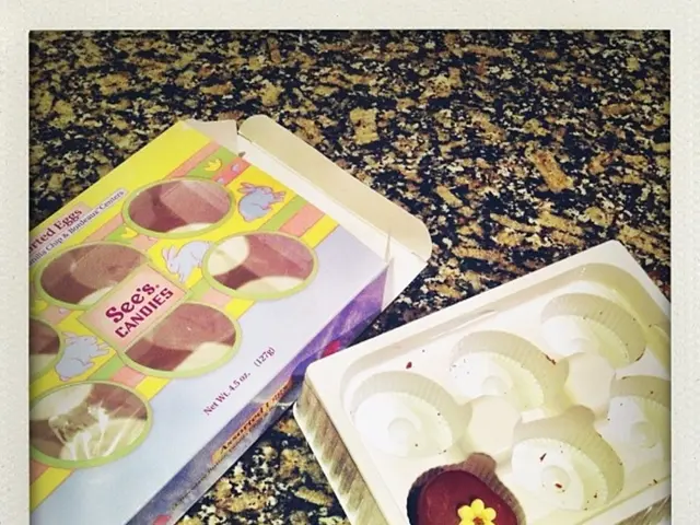 Strategies for aiding young ones in navigating the loss of a beloved pet