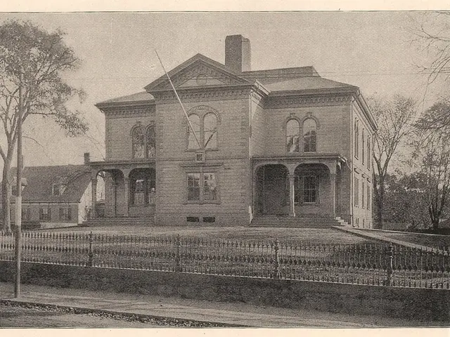 Observe: Canopy Wildlife Bridges Restablish Crucial Arboreal Connection for Animals in Peru