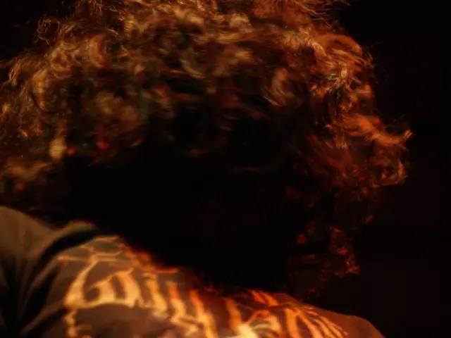 Top-Grade Products Suited for every Curl and Texture of Coily Hair