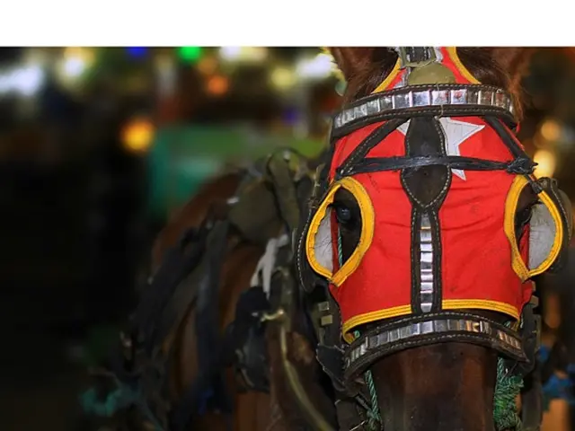 Royal Figure meets Tragic End: The Story of the Fallen Princess