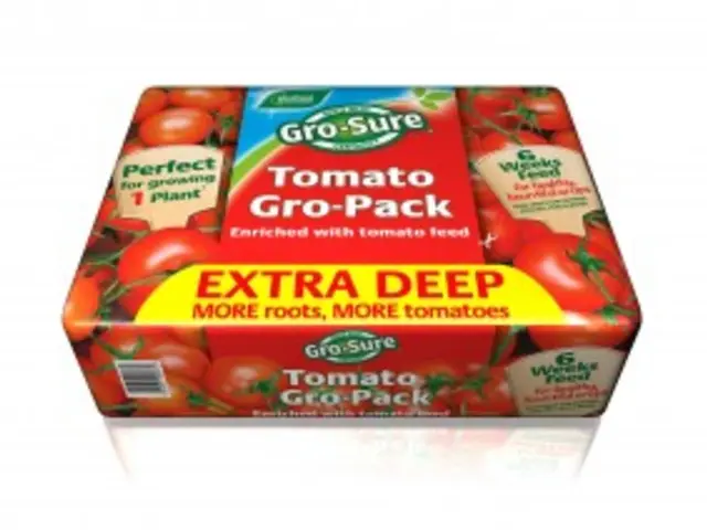 Premium Handmade Valentine's Day Container for Crafty Individuals